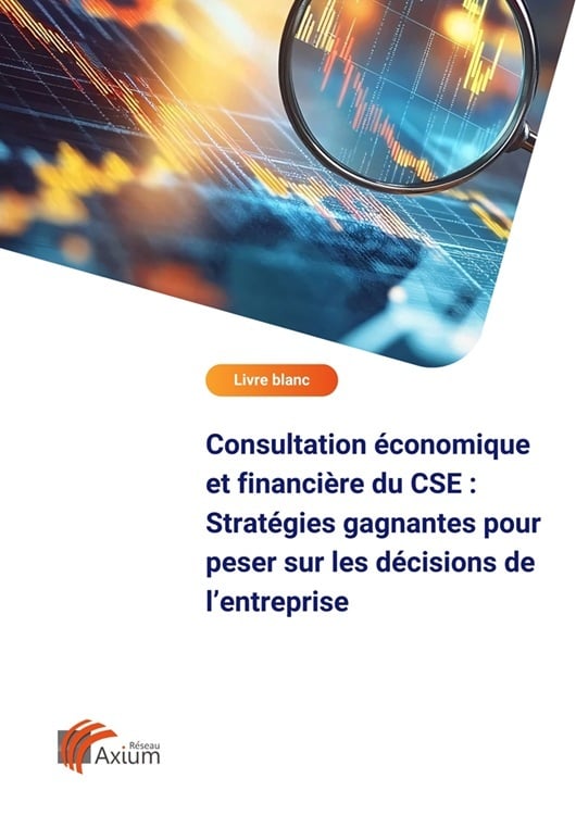 LB consultation economique et financiere cse vignette-1